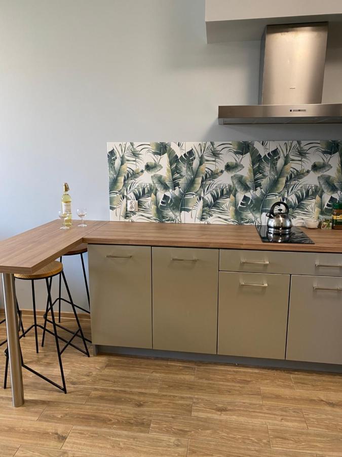 2 Tyskie Apartamenty Z Ogrodkiem Тичи Екстериор снимка